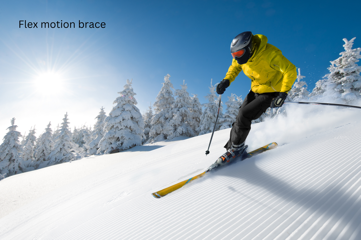 Flex Motion Brace